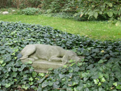 Monument of a dog at Lazienki 